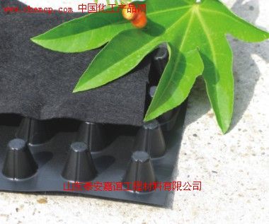 定西玻纖土工格柵廠家深度解析 產(chǎn)品圖與樣板圖展示